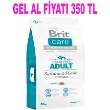 Brit Care Somonlu Patatesli Tahilsiz Buyuk Irk Kopek Mamasi 12 Kg 8595602510139 Amazon Pet Center 2020 Tahilsiz Somon Domuz Eti