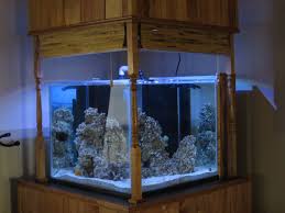 Shading hood for aquarium fish tank ultraviolet germicidal lamp protective h. Floating Canopies Let S See Em Reef2reef Saltwater And Reef Aquarium Forum