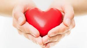Image result for heart