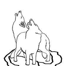 On the top of the head, draw curved lines that meet in points to indicate scruffy fur. Drawing Simple Baby Wolf Drawing