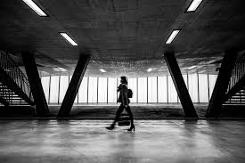 Click into the search field at the top of any page. Flickr S Top 25 Photos In 2020 Flickr Blog