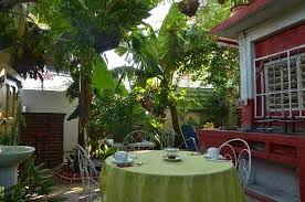 Soplador nafta ligero y manejable stihl bg 50 casa y jardin. Casa Jardin Guest House Reviews Santiago De Cuba Tripadvisor