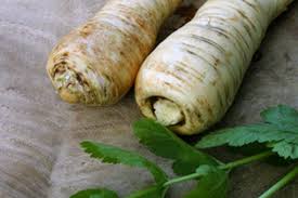 Pastinake Und Wurzelpetersilie Wurzelpetersilie Pastinaken Pastinake