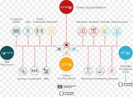 Synergy Organizational Chart Business Social Enterprise