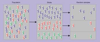 Stratified Sampling Used When The Entire Population Can Be Divided Into A Set Of Overlapping Subgroups Often Prove Research Methods Probability Stick Figures