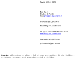 Dove hai bisogno del servizio? Porta Di Mare Foto Una Lettera Al Sindaco E Ai Carabinieri Per Fermare Il Taglio Dei Pioppi Di Via Bellini