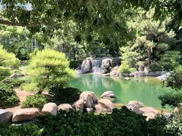 Citrus trees in the fall and spring; Find Peace At The Japanese Friendship Garden Of Phoenix Downtown Phoenix Az