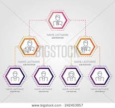 Business Hierarchy Vector Photo Free Trial Bigstock