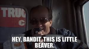 Maybe you would like to learn more about one of these? Smokey And The Bandit Ar15 Com