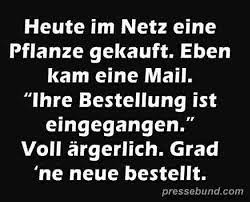 Lustige Bilder Und Lustige Sprüche Für Facebook Whatsapp Und