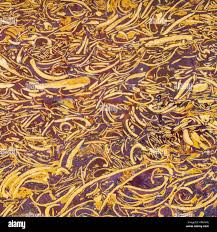 Coquina Jasper High Resolution Stock Photography And Images Alamy