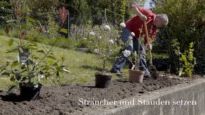 Blutenhecken Anlegen Und Pflegen Video Blutenhecke Gartenhecke Hecke