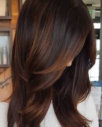 60 Hairstyles Featuring Dark Brown Hair With Highlights Brown Hair Auburn Highlights Brunette Hair Color Light Hair Color