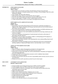Working at a hotel in a remote destination or in your favorite city is a dream many people have and achieve. Stewarding Manager Resume Samples Velvet Jobs