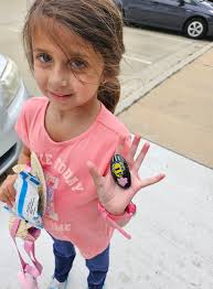 Found a rock in Lawrence Park's Elbow Tree