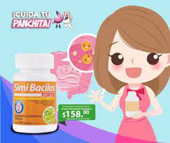 Farmacias Similares Los Probioticos Ayudan A Tu Flora Intestinal Sirven Por Ejemplo Para Evitar La Diarrea Provocada Por El Consumo De Antibioticos Consultaatumedico Https Fsimi Com 2kktxai Facebook