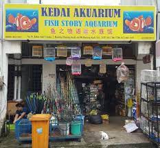 Maybe you would like to learn more about one of these? Public Bank Batang Kali Zixioni