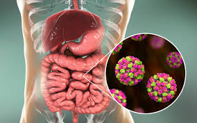 A Way To Combat Norovirus New Food Magazine