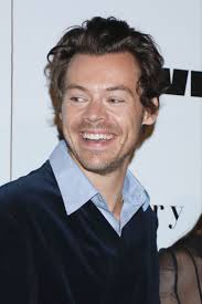 harry styles at the don't worry darling premiere in NYC!🎬 9/19/22