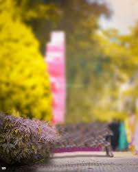 Fotojet preset a series of backgrounds for you. 500 Best Atharv Raut Background Hd Download 2021