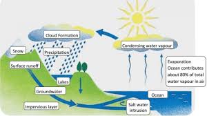 Writing Task 1 Process Diagram 2 Ielts Practice Online Band 9