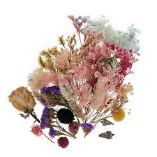 All of our flowers are grown, picked, pressed and dried by hand. Bulk Real Press Dried Flowers Leaves For Diy Epoxy Resin Jewelry Making Ebay