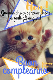 Pin Di Mary Su Buon Compleanno E Buon Onomastico Compleanno Gatti Buon Compleanno Cucciolo Buon Compleanno Divertente