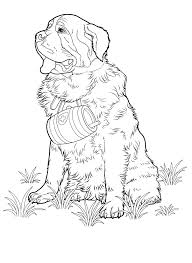 Select from 35870 printable crafts of cartoons, nature, animals, bible and many more. Shih Tzu In Show Coat Coloring Pages Dog Coloring Pages Coloring Pages For Kids And Adults