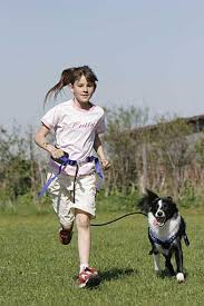 Hund Und Fahrrad Partner Hund Magazin