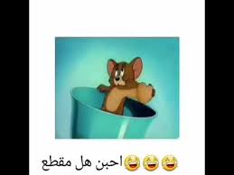 فحص التربة وتقرير فحص التربة و الجسات بالتفصيل. Ø­Ø§Ù„Ø§Øª ÙˆØ§ØªØ³ Ø¹Ù† Ø§Ù„Ø§Ù…ØªØ­Ø§Ù†Ø§Øª Ù…Ø¶Ø­ÙƒØ© Marat Ton