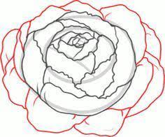 How To Draw A Peony Peony Flower Step By Step Flowers Pop Culture Free Online Drawing Tutorial Adde Peony Drawing Flower Drawing Tutorials Flower Drawing