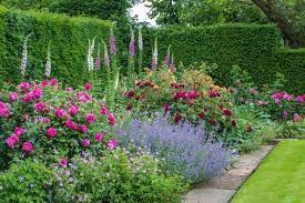 Roses In Mixed Borders Garden Shrubs Garden Borders Country Gardening