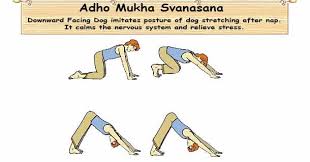 Check spelling or type a new query. Adho Mukha Svanasana Is The Downward Facing Dog Pose How To Do Benefits