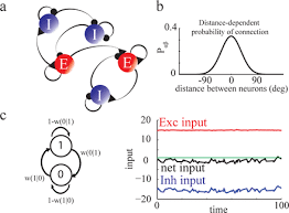 Marlene's newsletter, primal health lp. How Strong Are Correlations In Strongly Recurrent Neuronal Networks Biorxiv