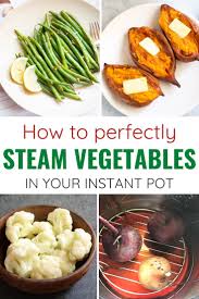 The Ultimate Guide To Instant Pot Steamed Vegetables Piping Pot Curry