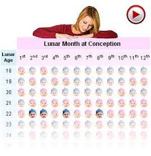 Gender Selection Chart Baby Gender Calendar Baby Gender