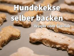 Hundekekse Selber Backen 6 Tolle Rezepte Ohne Getreide Hundekuchen Rezepte Hunde Kekse Rezept Hundekekse