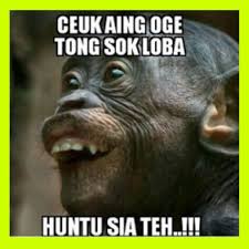 Foto dan kata lucu berbahasa sunda | gambar lucu terbaru. Gambar Komentar Sunda Lucu Pisan Cho Android Táº£i Vá» Apk