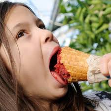 TERRA Winter Market opens