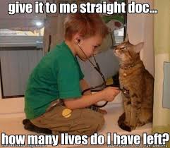 Fails Parodies Internet Memes Politics Funny Pictures Stupid People Animals Jokes Stand Up Blog Funny Animal Quotes Funny Animals Cute Funny Animals