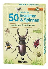 Moses Expedition Natur 50 Heimische Insekten Und Spinnen Bestimmungskarten Im Set Mit Spannenden Quizfragen Amazon De Spielzeu In 2020 Insekten Spinne Heimisch
