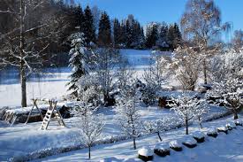 Auch wenn der schnee noch auf sich warten lässt … geschichten vom schneemann gehören einfach zum winter. Fingerspiele Winter Kinderspiele Welt De