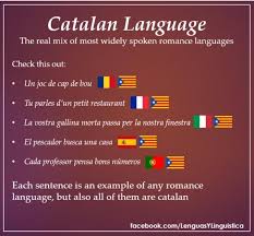 Is this picture I've found accurate? : r/catalan