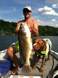 So the Road Runner Lures pro series 1/4 are my favorite bait in this lineup  . They catch everything! Cool thing about this style bait you will catch  anything that chases baitfish.