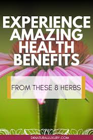 8 Herbs With Amazing Health Benefits Natural Luxury In 2020 Health And Wellness Quotes Health Quotes Herbs For Health