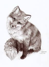 Black And White Sketch Artists 403 Forbidden Fox Painting Animal Sketches Fox Art