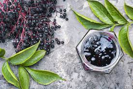 Maybe you would like to learn more about one of these? Elderberry Health Benefits Nutrition Facts Side Effects And Uses
