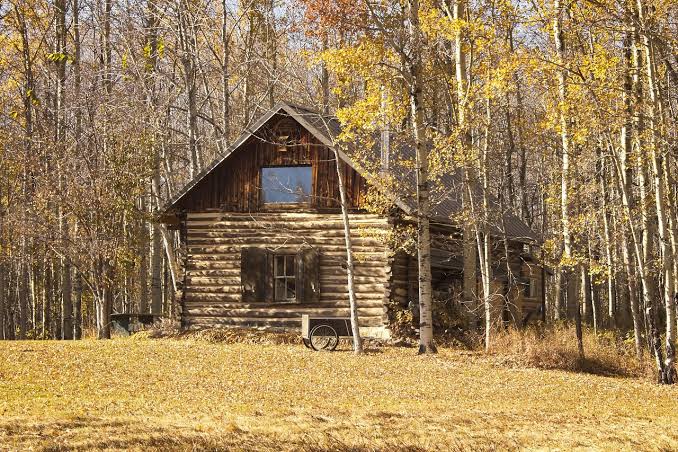 Retire In A Cabin In The Woods: Living A Simple And Peaceful Life