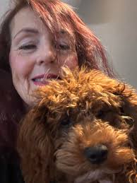 Hello everybody! 🐶🤗 My name is Cookie and I'm 5 months old 🐶🐶🐶