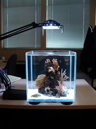 Then, you can choose from our huge selection of plastic plants, silk plants, driftwood, and coral replicas to create an. 100 Ideas Integrate Aquarium Designs In The Wall Or In The Living Room Interior Design Ideas Ofdesign